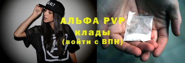 гидра Абаза