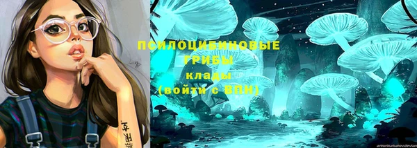гидра Абаза