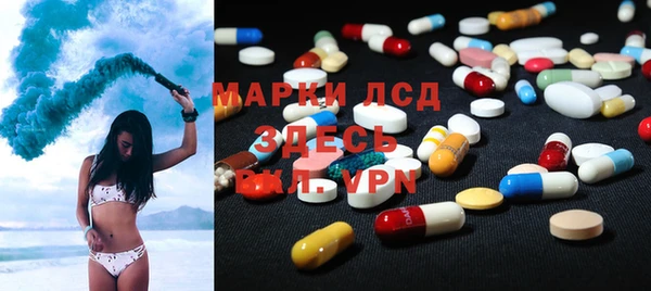 гидра Абаза